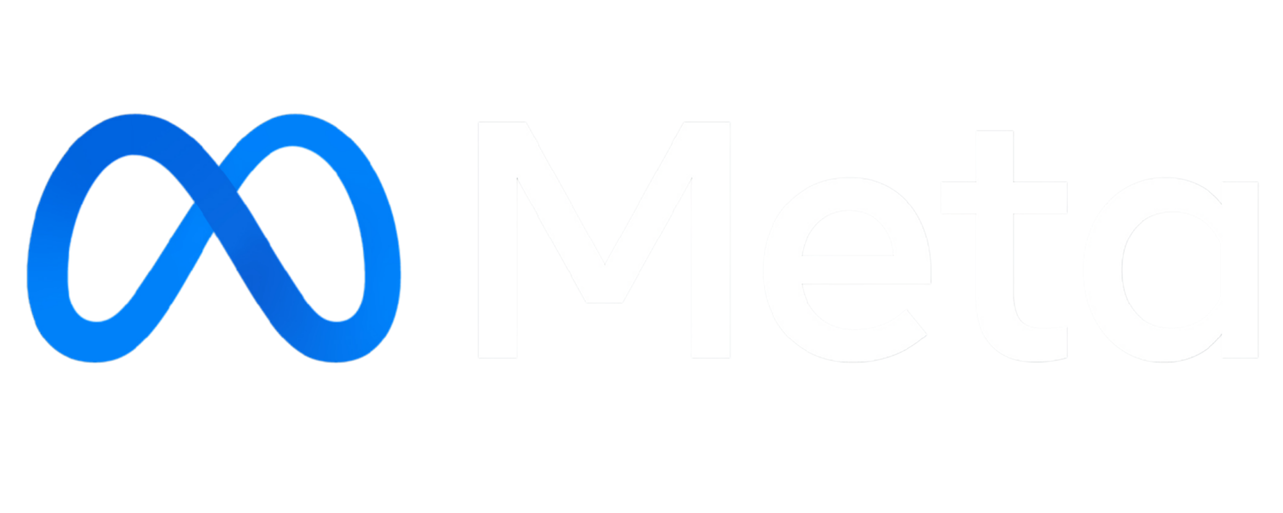 Partner Logo 2